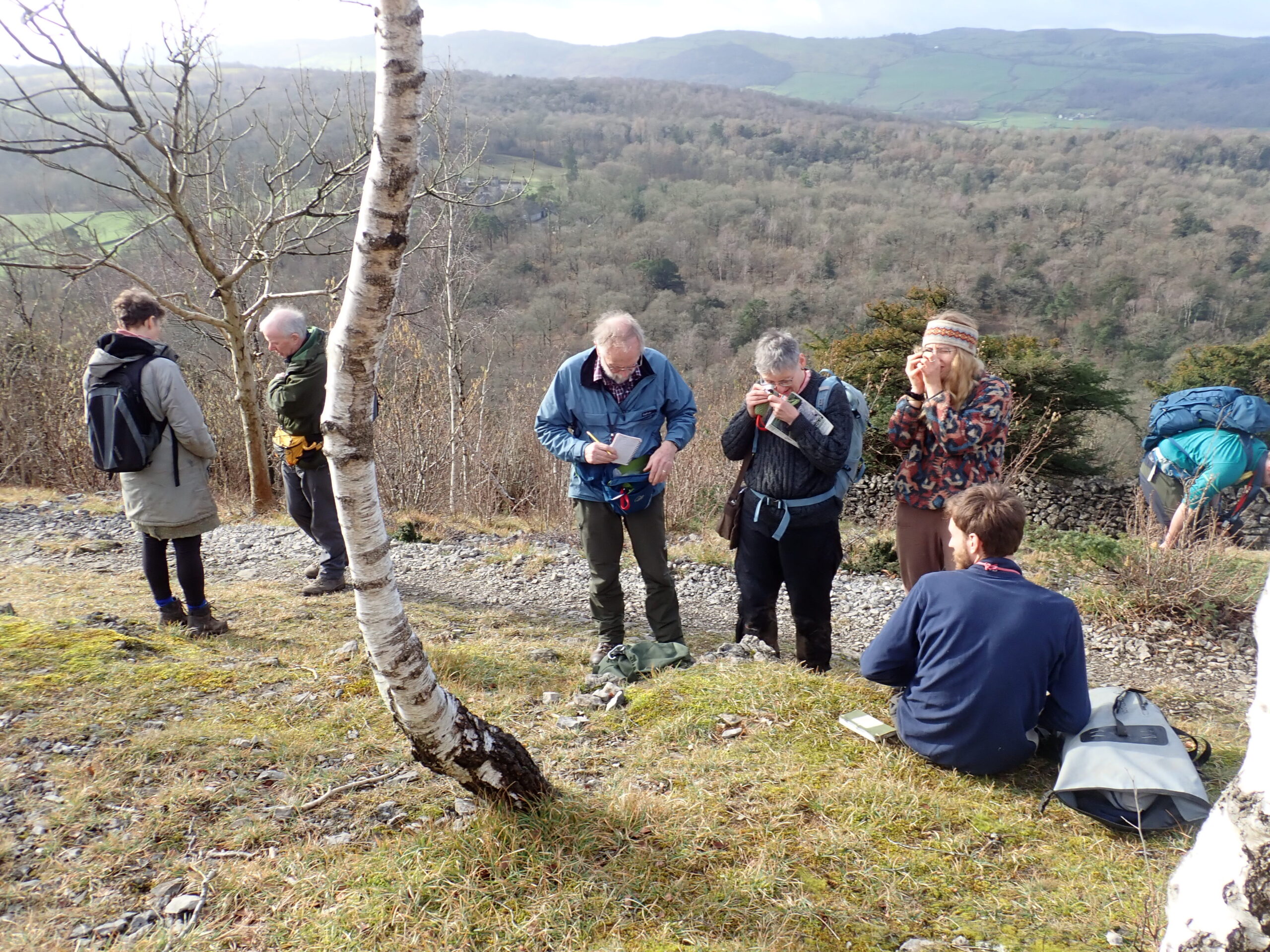 Whitbarrow Trip Bryophyte Report February Cumbria Lichens And