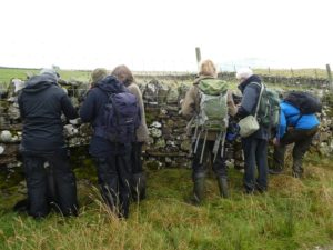 Cumbria Lichen and Bryophyte Group at Eycott Hill