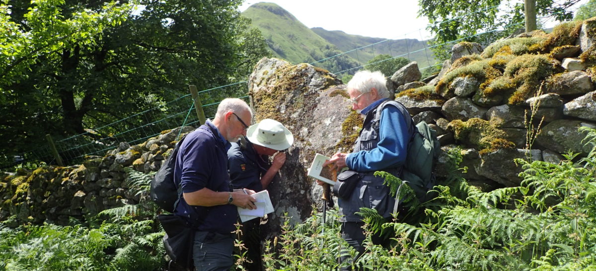 Looking at lichens on rock - Chris Cant