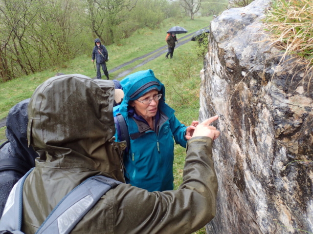 Looking at lichens on the Smardale limestone outcrops