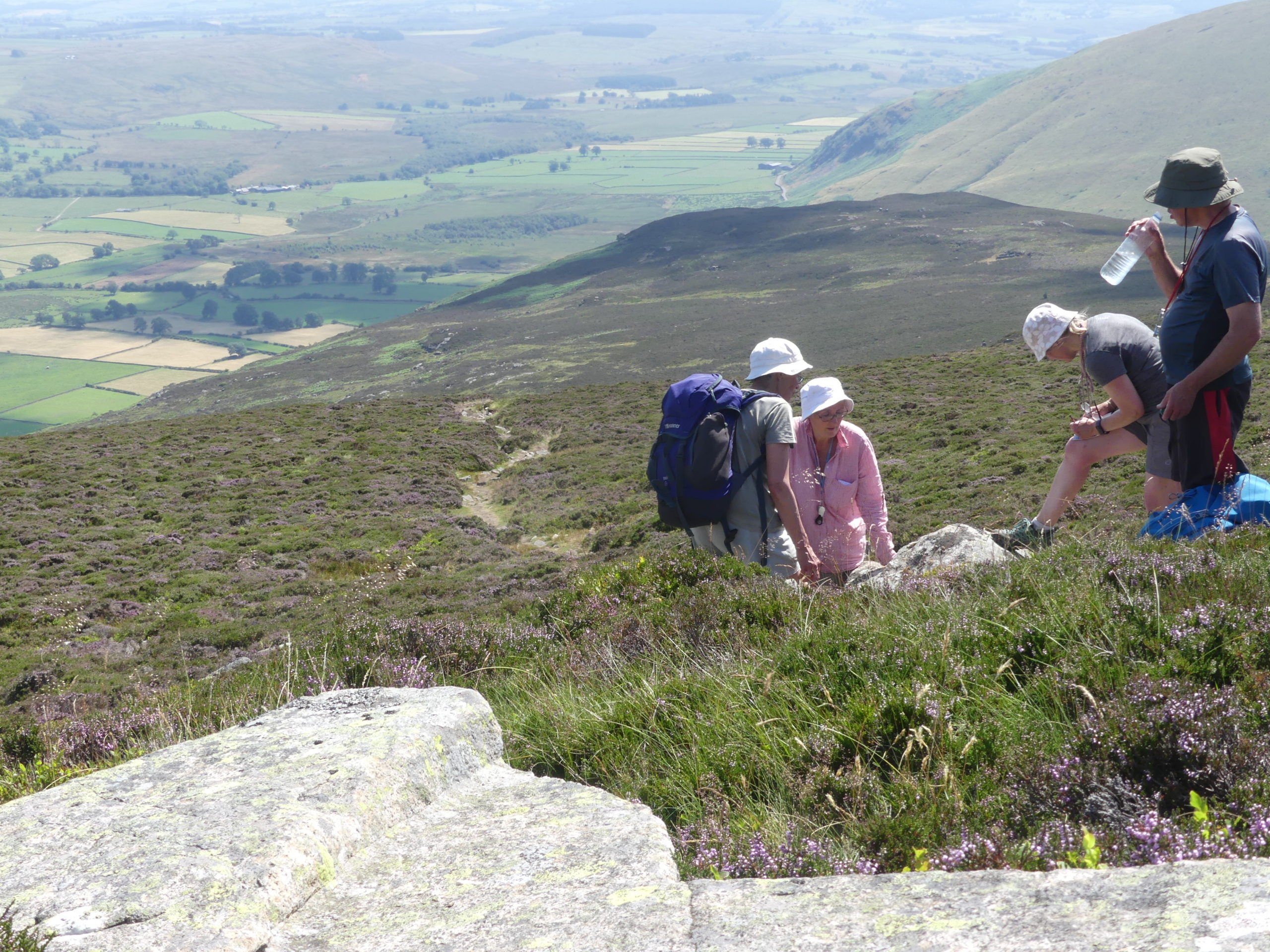 Cumbria Lichen and Bryophyte Group on Carrock Fell