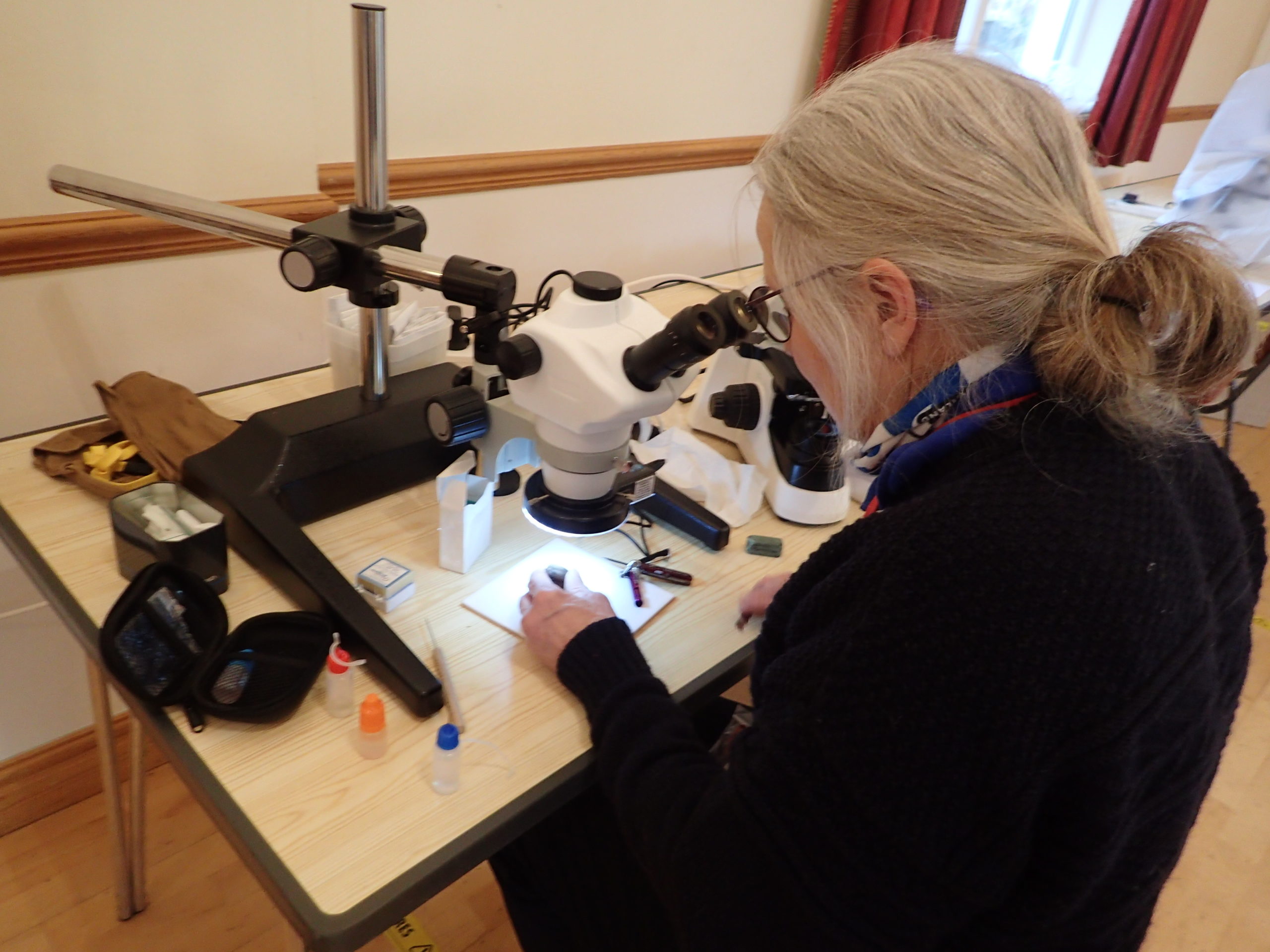 Liz on her dissecting microscope