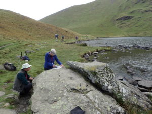 Lichenologists at Bowscale Tarn