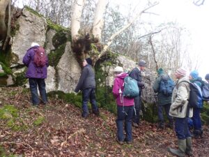 CLBG Lichenologists at Hutton Roof