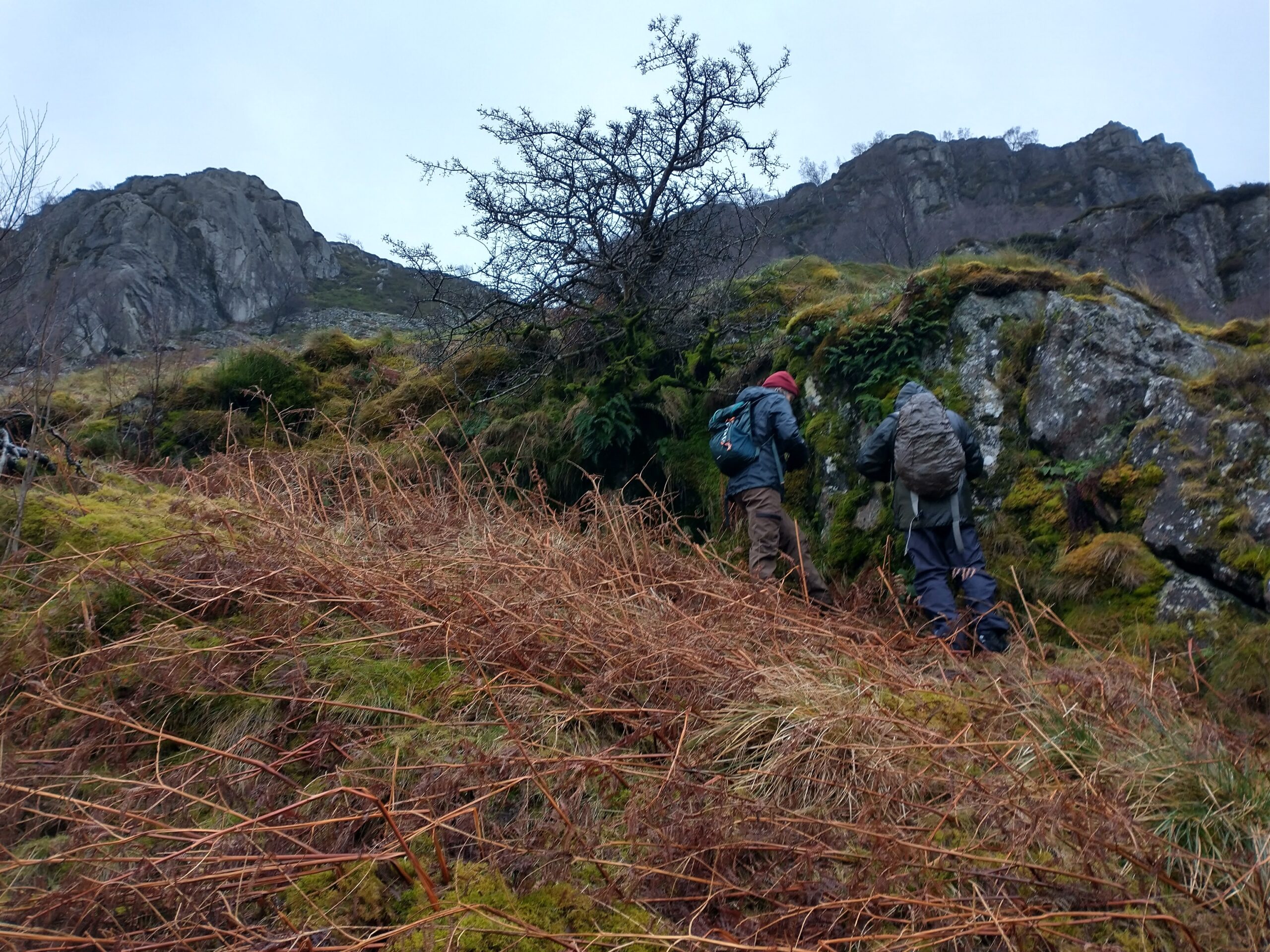 Below the crags, examining a mossy outcrop