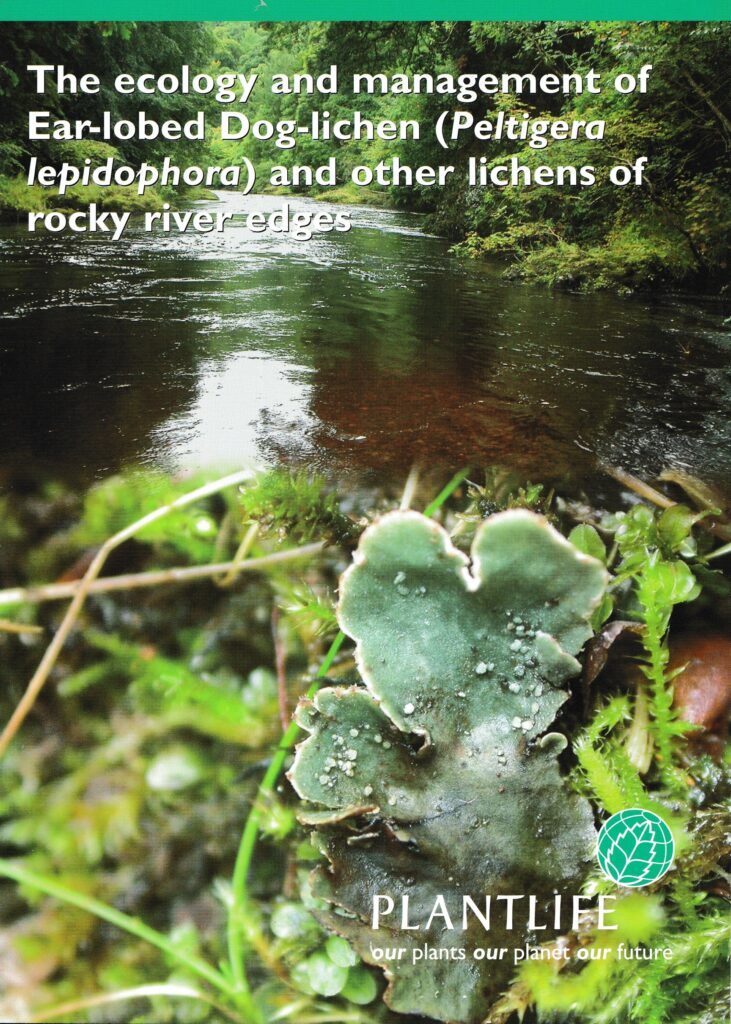 Plantlife: the ecology and management of Peltigera lepidophora
