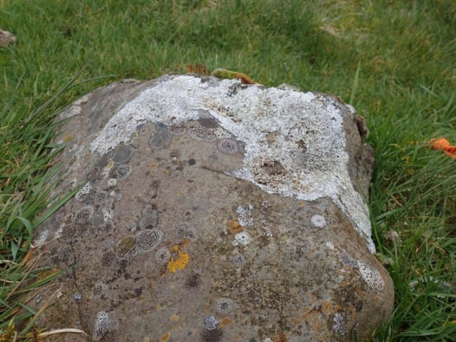 Siliceous boulder