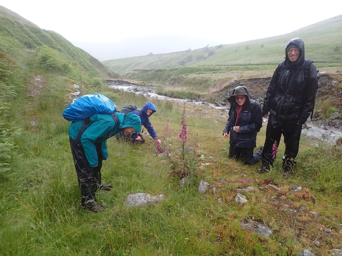 Wet but happy lichenologists by Carlin Gill