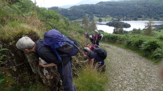 CLBG lichenologists inspecting an outcrop by the track