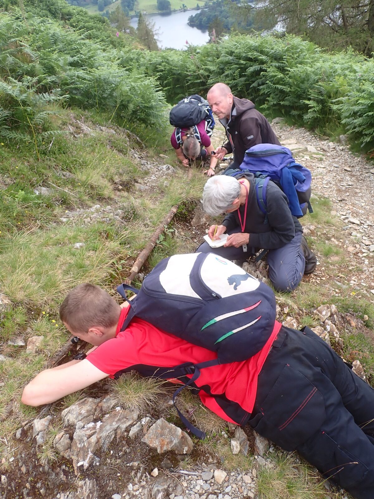 Cumbria lichenologists inspecting a metal pipe