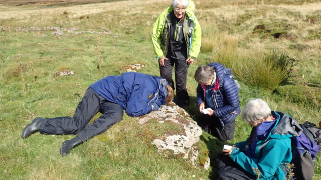 Inspecting the limestone pavement