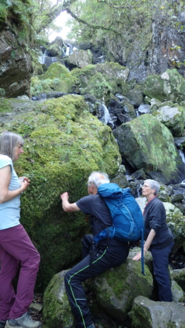 Cumbria lichenologists at Lodore Falls