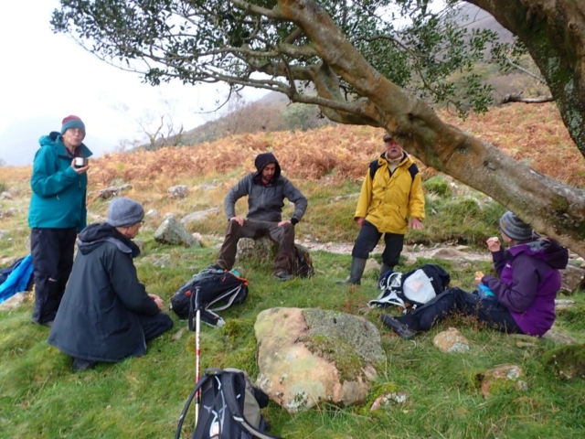 Scales Wood Lunch