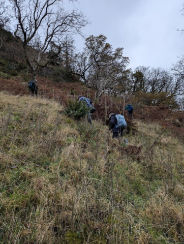 Afternoon group scrambling up the scree