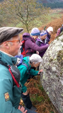 Cumbria Lichenologists inspecting a boulder