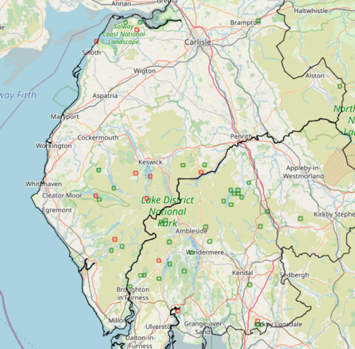 Coenogonium luteum record distribution in Cumbria August 2024