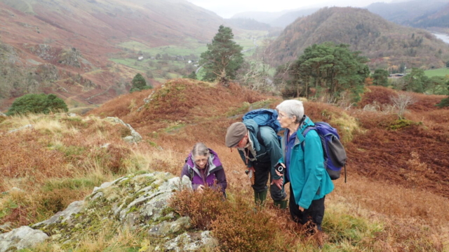 Lichenologists on the fell inspecting an outcrop