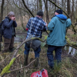 Bryologists at work in the Black Beck woodland