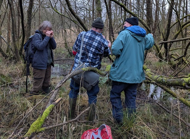 Bryologists at work in the Black Beck woodland