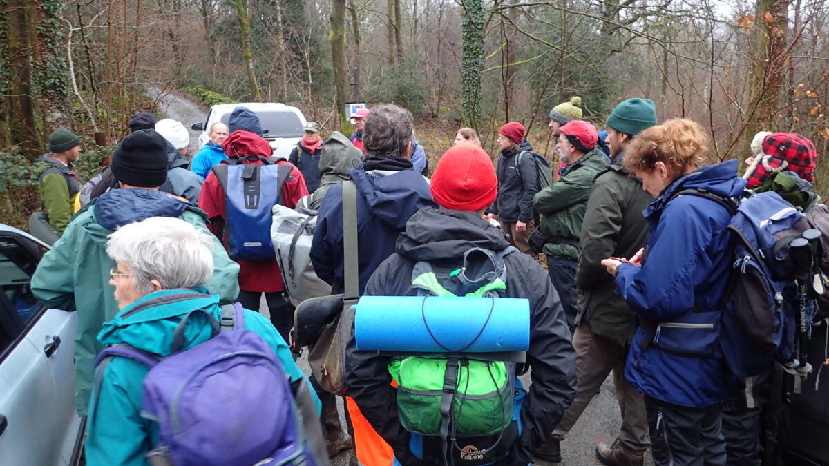 A large huddle of the Cumbria Lichen and Bryophyte Group