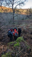 Bryophyte seminar in progress in Naddle woods Bryophyte seminar in progress in Naddle woods