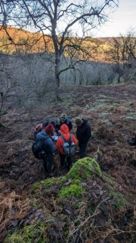 Bryophyte seminar in progress in Naddle woods