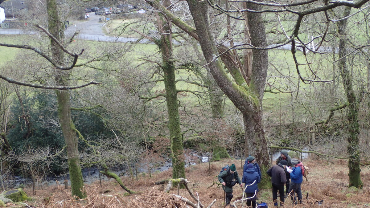 CLBG Lichenologists at Seatoller Wood