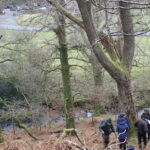 CLBG Lichenologists at Seatoller Wood