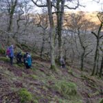 CLBG lichenologists in Naddle Forest woods