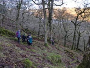 CLBG lichenologists in Naddle Forest woods