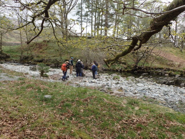 Lichenologists by the River Duddon