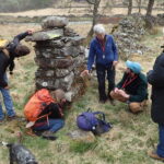 Lichenologists inspecting a dry-stone wall at Hardknott Forest