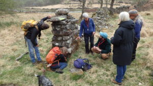 Lichenologists inspecting a dry-stone wall at Hardknott Forest
