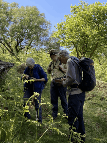 Lichenologists recording a new find