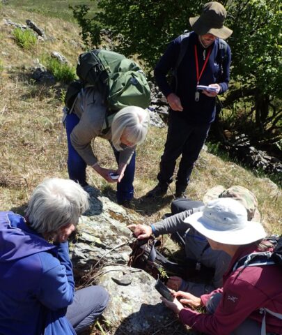 Rhizocarpon workshop