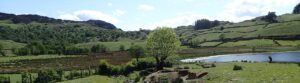 View of Watendlath tarn, an ash pollard and woods