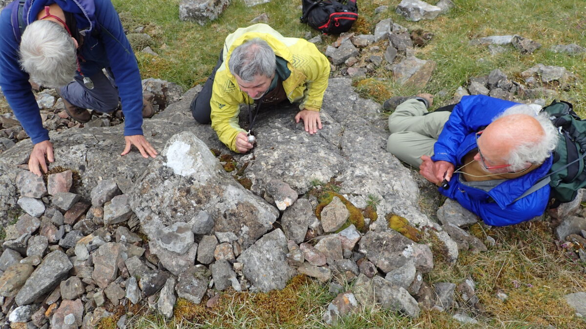 Lichenologists inspecting a limestone outcrop