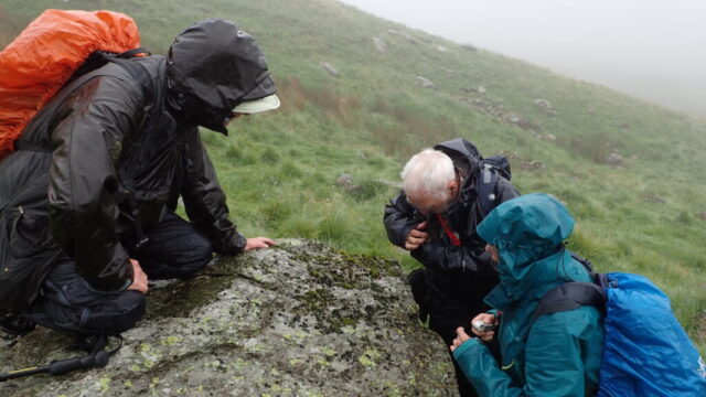Saxicolous crusts in the rain