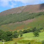 Keskadale wood, Newland Valley