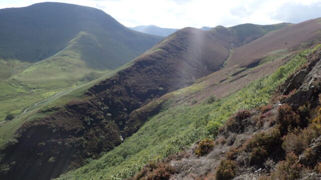 View from above Keskadale wood