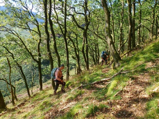 Clare and Richard in the lower part of the wood