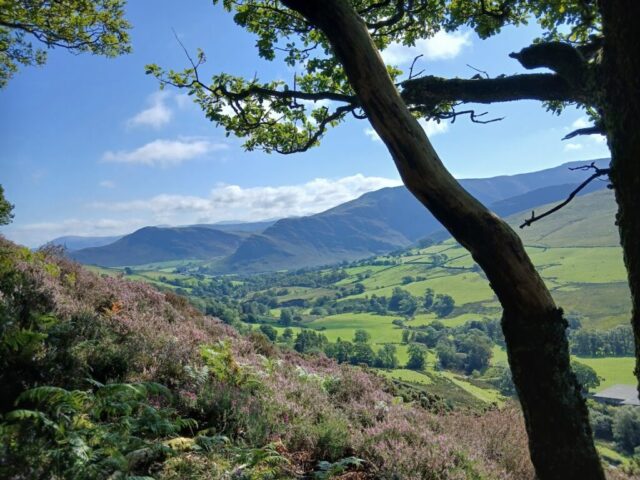 View down the valley