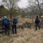 Bryologists inspecting a dry-stone wall