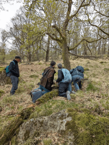 Bryologists in Great Wood