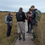 CLBG Bryologists at Glasson Moss