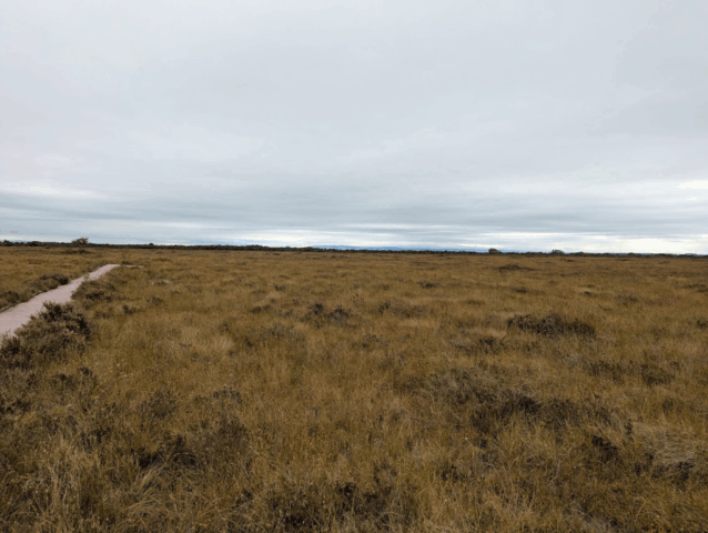 Glasson Moss: Looking out across the bog