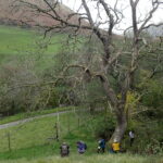 CLBG Lichenologists in Borrow Dale