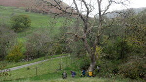 CLBG Lichenologists in Borrow Dale