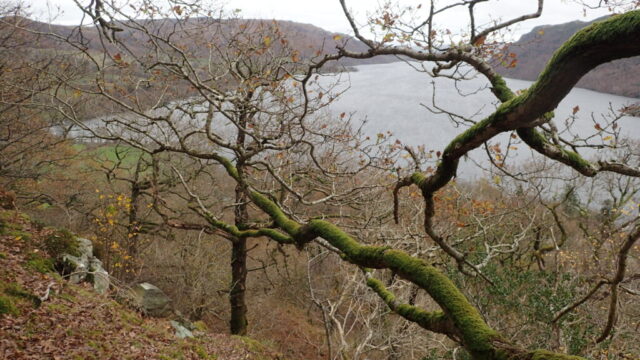 View north over Ullswater