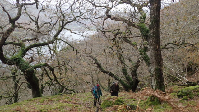 View south over Ullswater